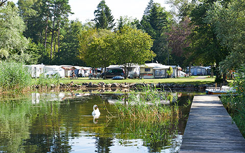 Letzte Chance: TCS Camping Gampelen Neuenburgersee