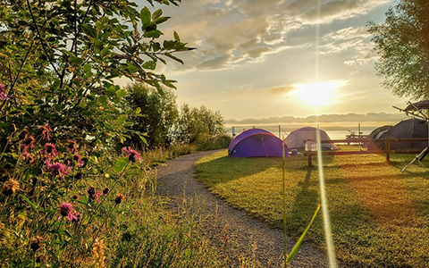 Zelte auf einem Campingplatz neben einem See.