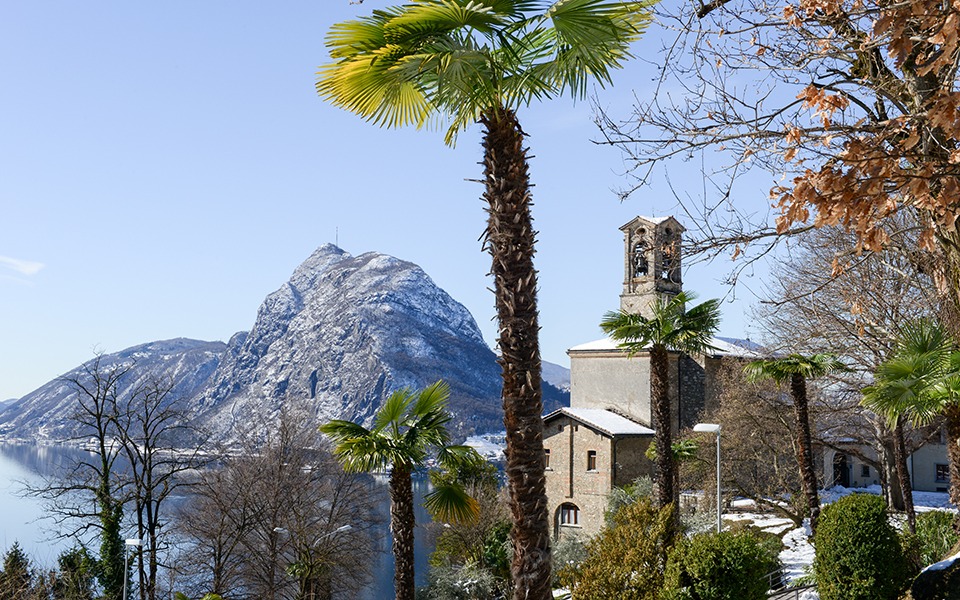 On aperçoit une montagne enneigée à l'arrière-plan et un palmier au premier plan.