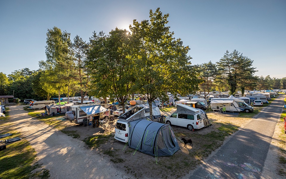 Camper und Wohnmobile stehen auf einem Campingplatz unter Bäumen.