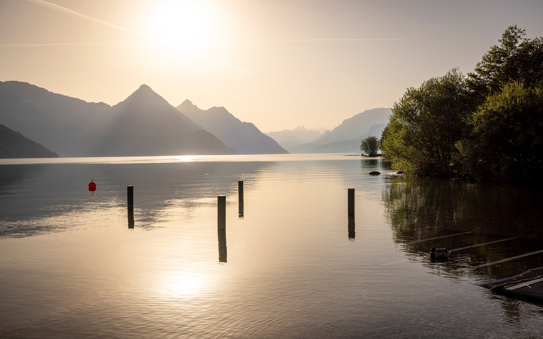 Der See erstrahlt in der Morgensonne.